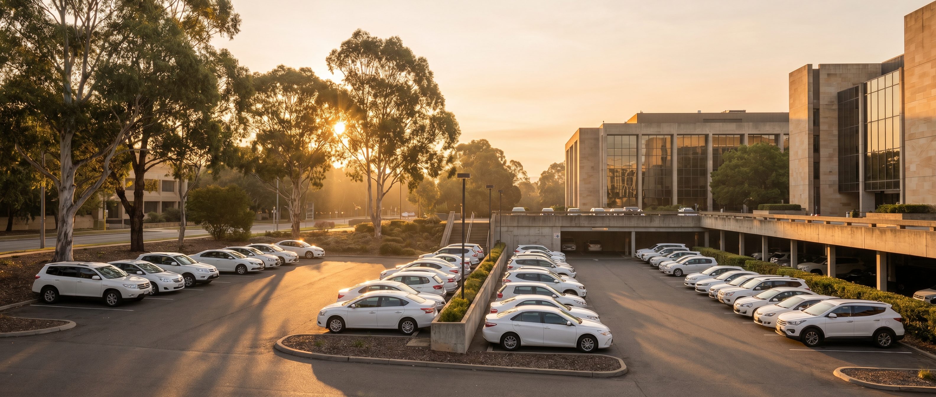 Rows of white government pool vehicles in a civic precinct car park at first light, modern government architecture behind.