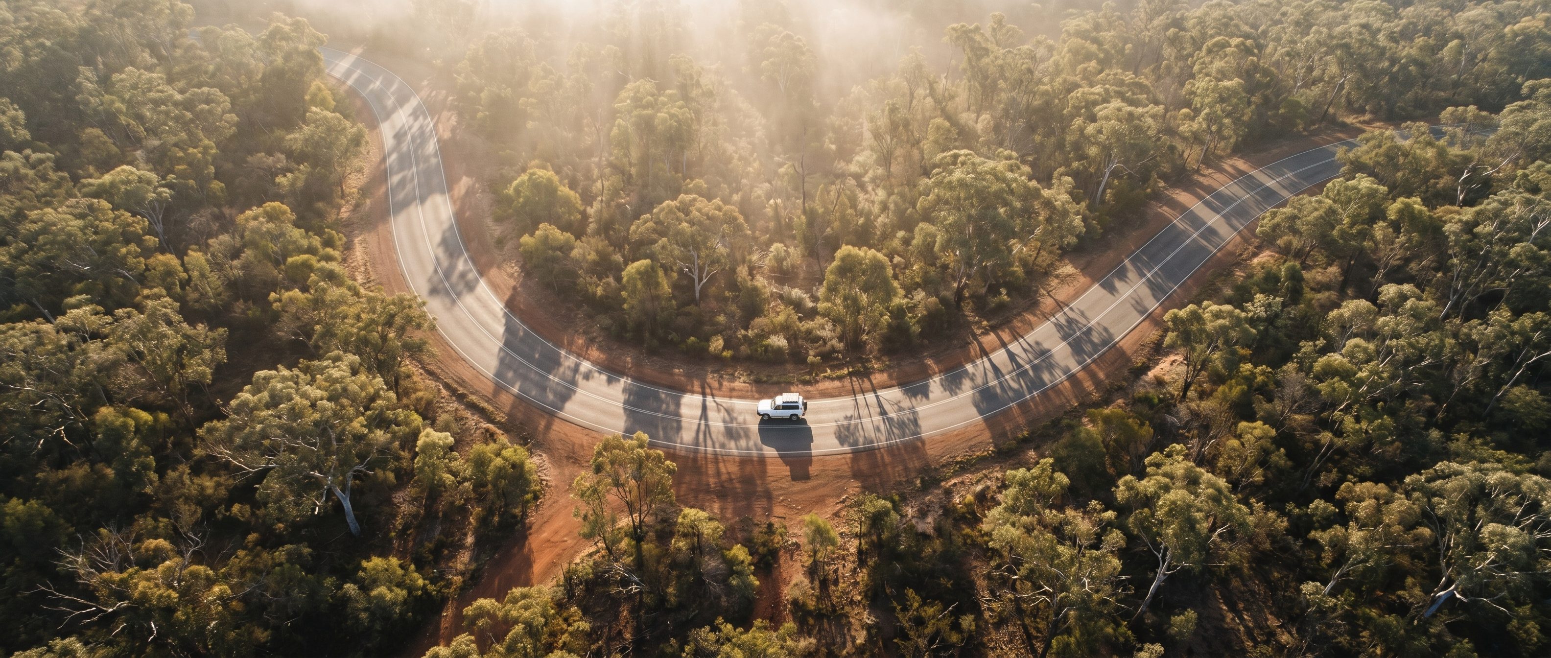 Aerial view of a single vehicle tracing a winding road through eucalypt bushland at dawn, long tree shadows across the bitumen.